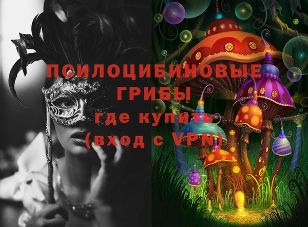 дживик Балахна