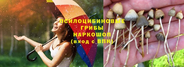 СК Баксан