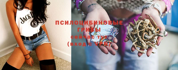 дживик Балахна